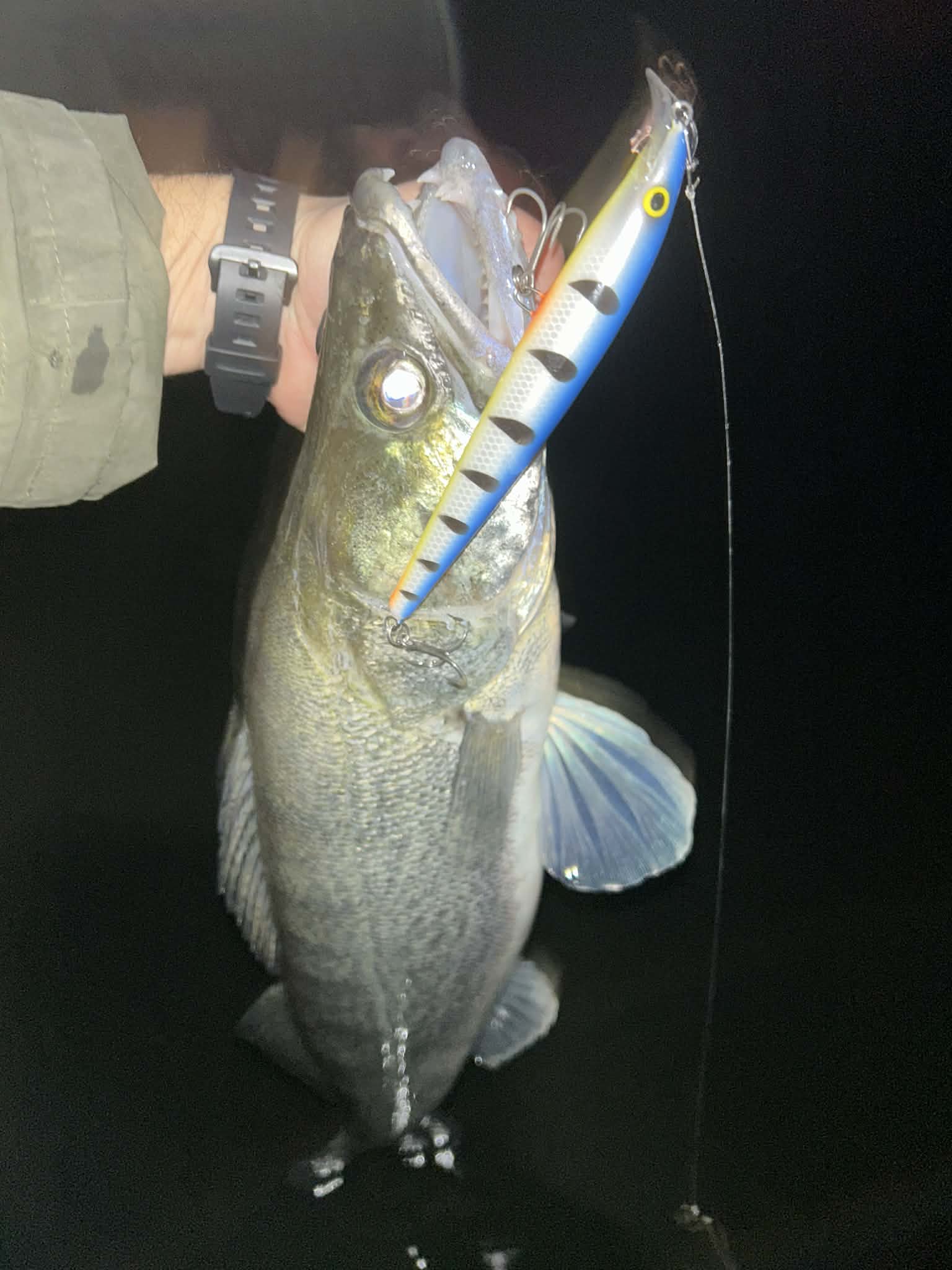 Kuha Minnow 14 cm - Image 17