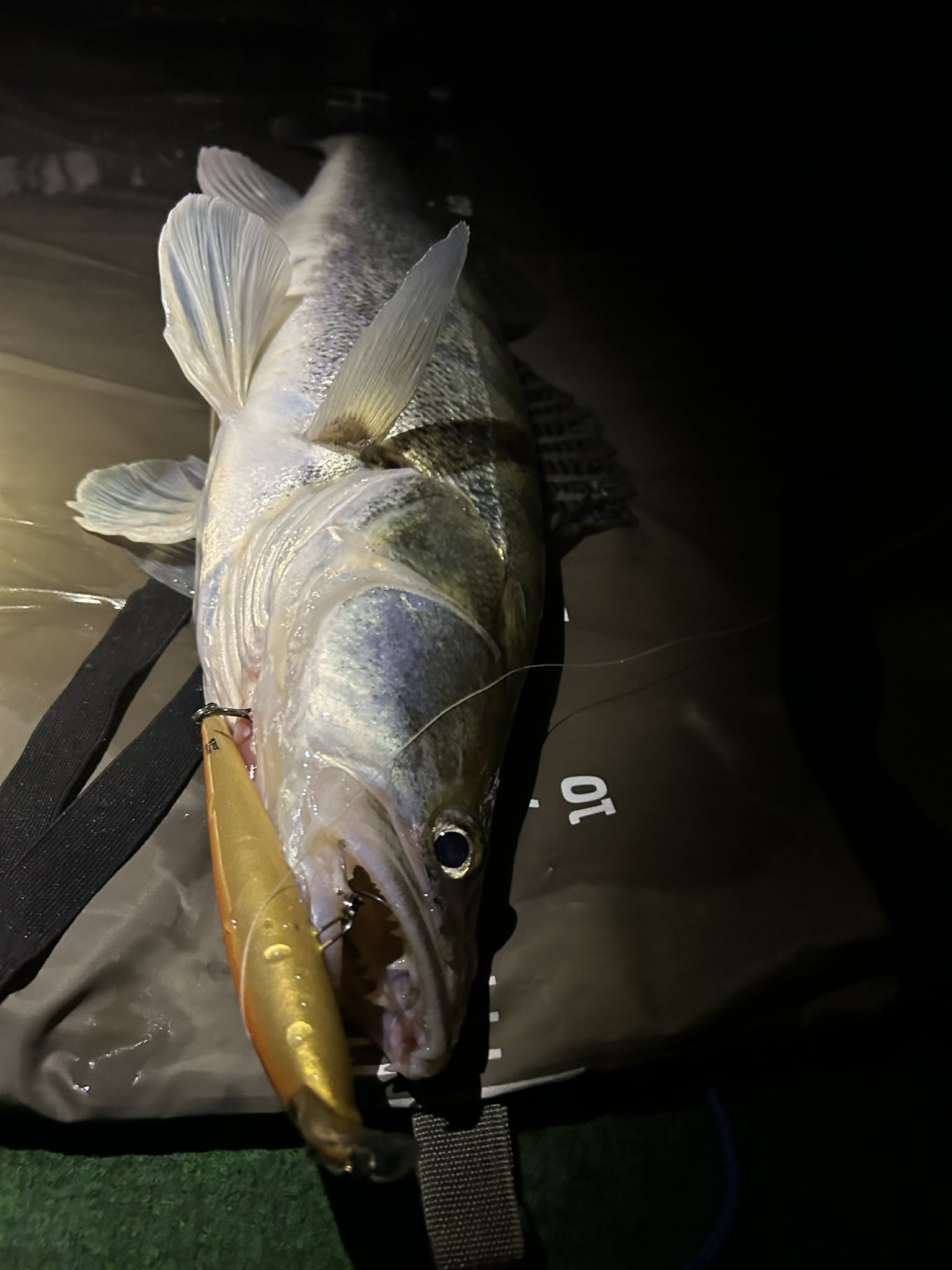 Kuha Minnow 14 cm - Image 18