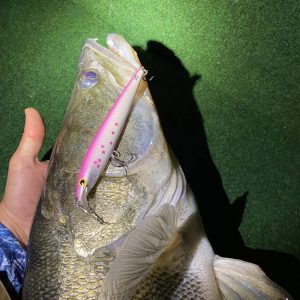 Kuha Minnow 14 cm