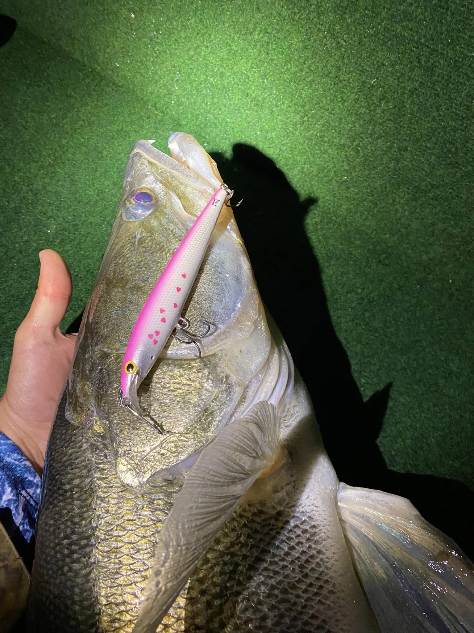 Kuha Minnow 14 cm