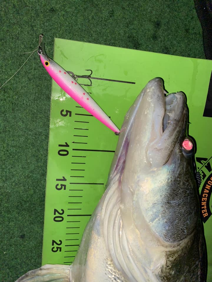 Kuha Minnow 14 cm - Image 10