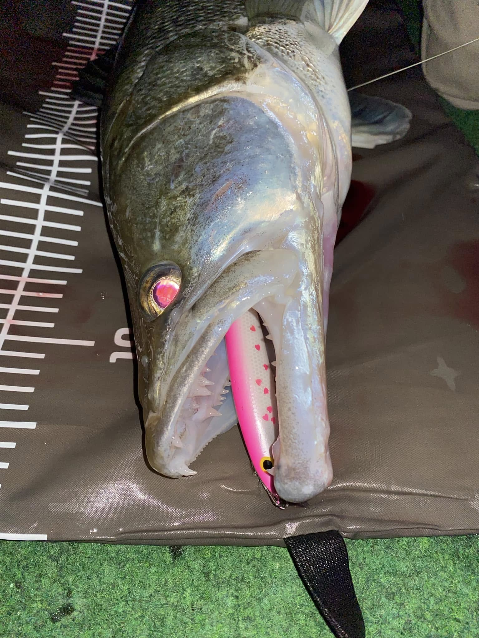 Kuha Minnow 14 cm - Image 11