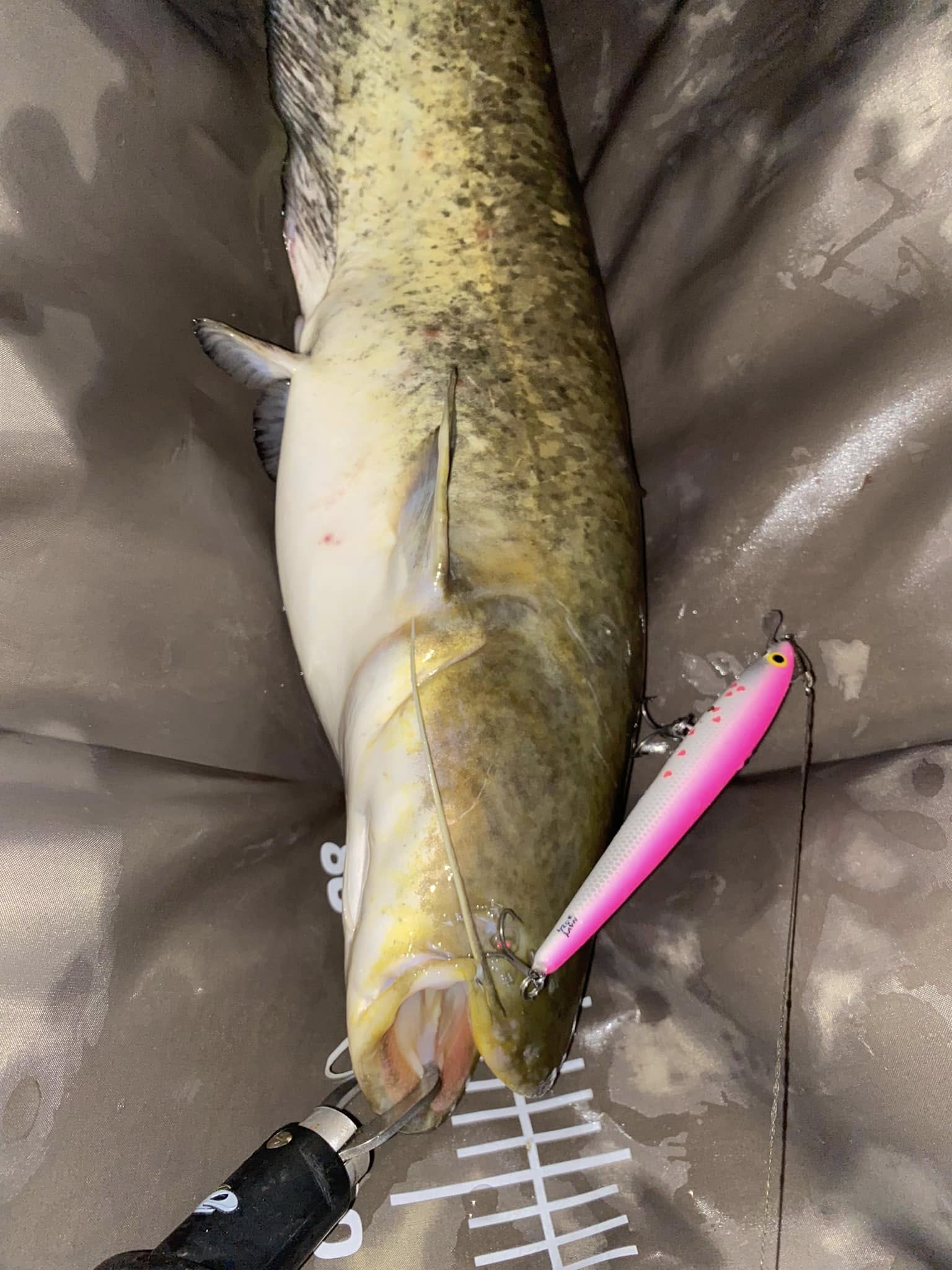 Kuha Minnow 14 cm - Image 14