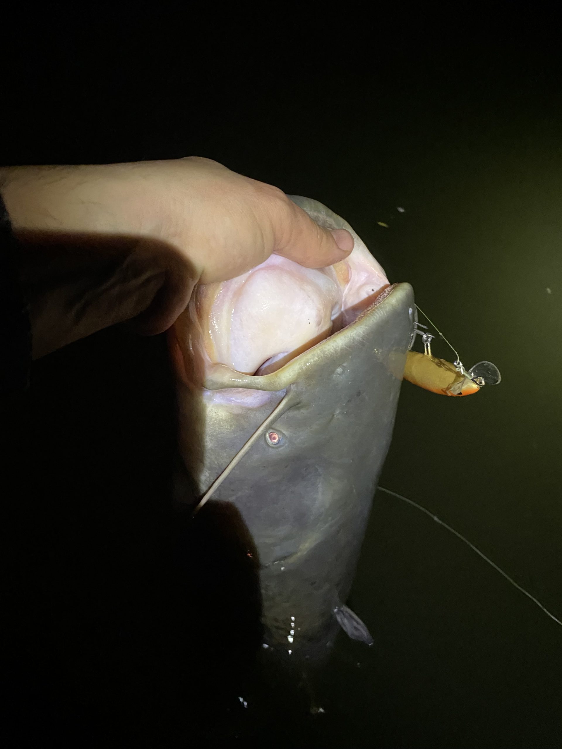 Kuha Minnow 14 cm - Image 3