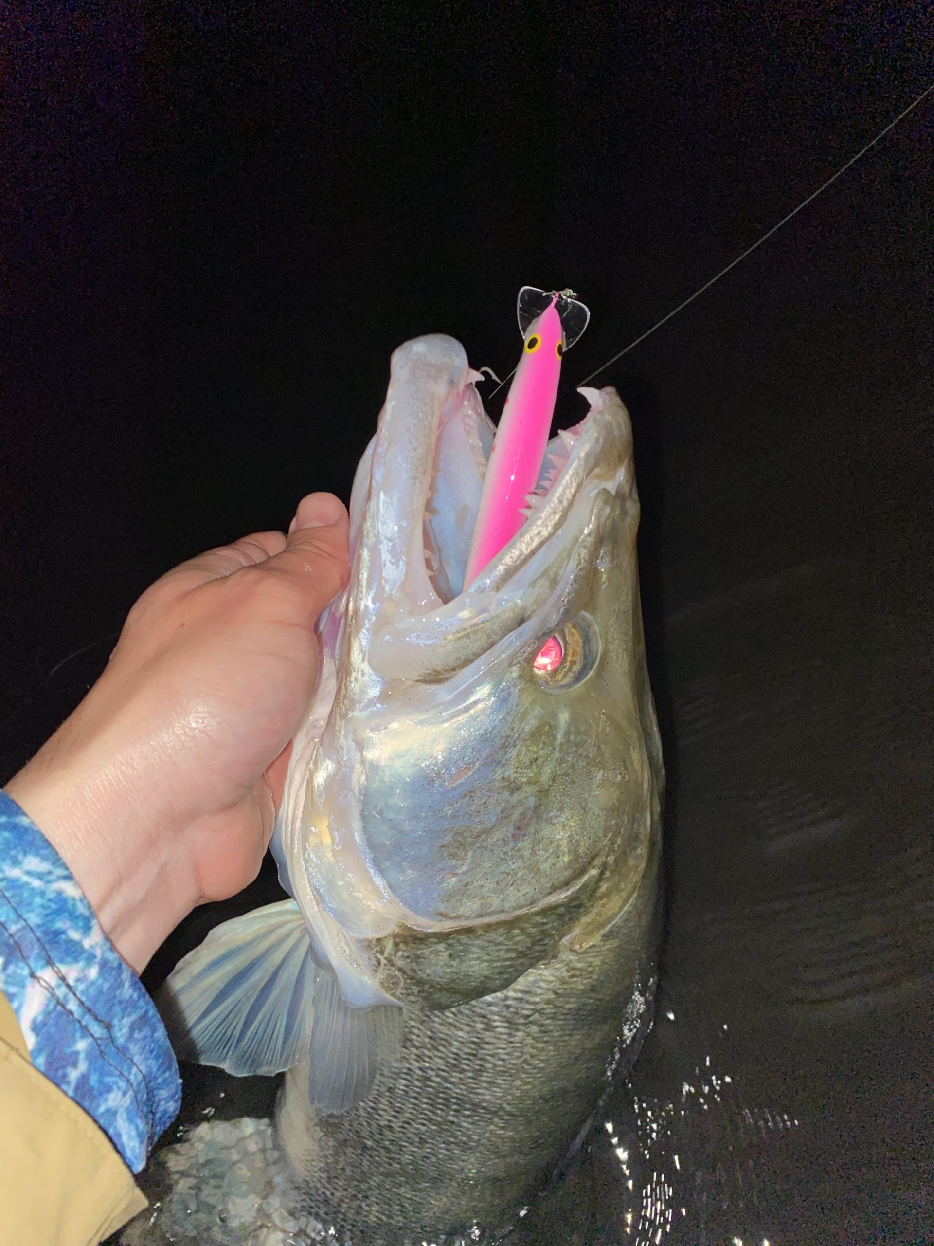 Kuha Minnow 14 cm - Image 4