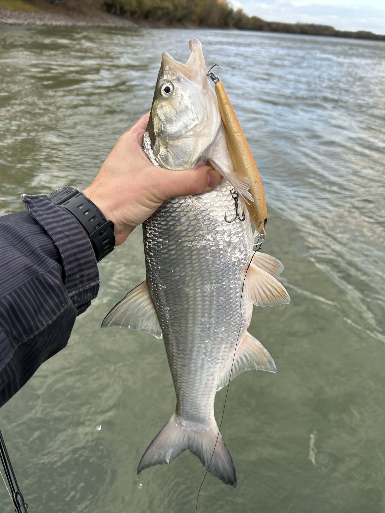 Kuha Minnow 14 cm - Image 21