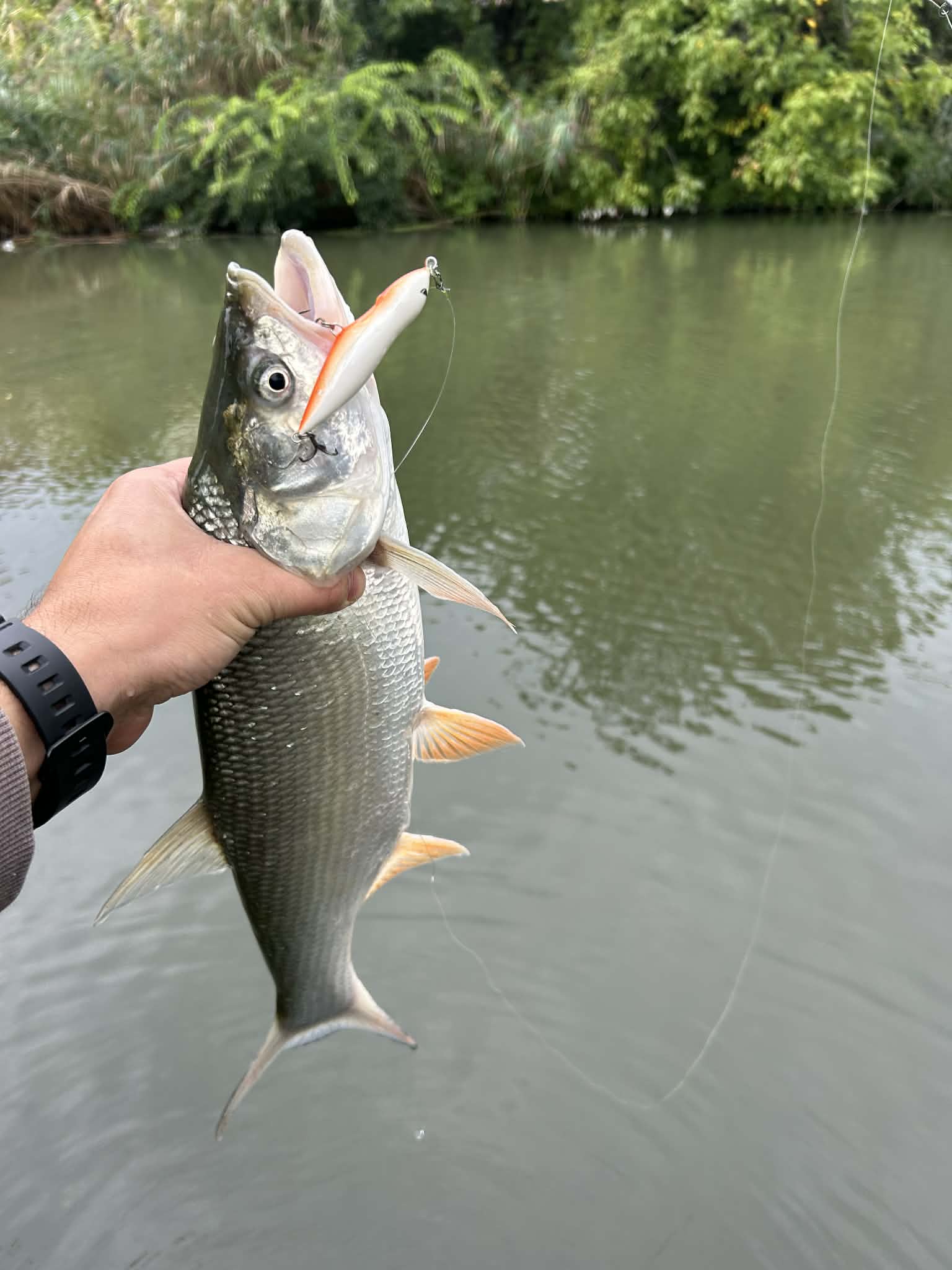 Kuha Minnow 14 cm - Image 22